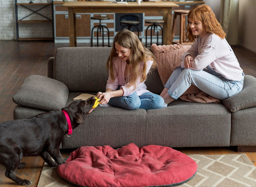 Two women playing with a black dog on a sofa